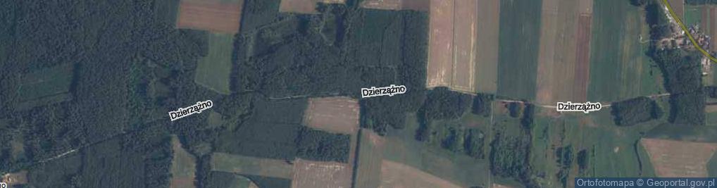 Zdjęcie satelitarne Dzierzążno ul.